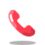 Phone Icon